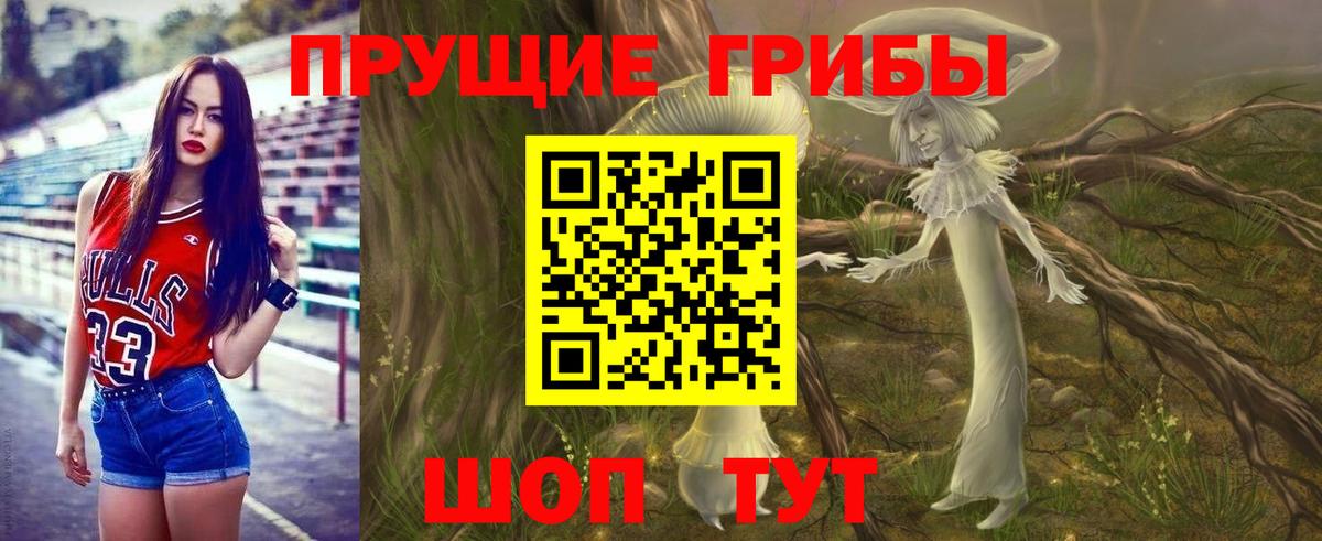 наркотики  Галлюциногенные грибы прущие грибы  Вход с VPN  Миллерово 